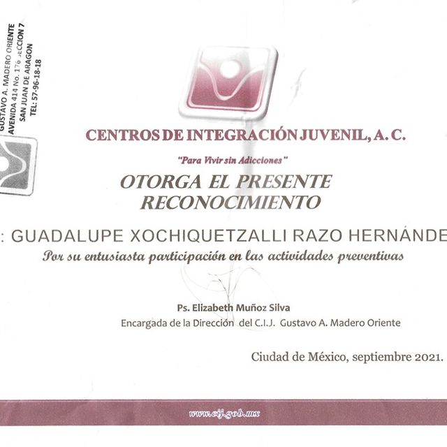Ampliar imagen: certificate 4