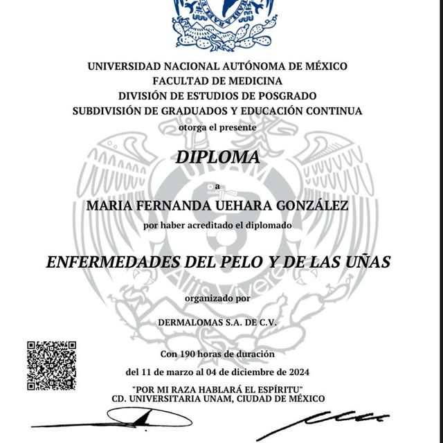 Ampliar imagen: certificate 2