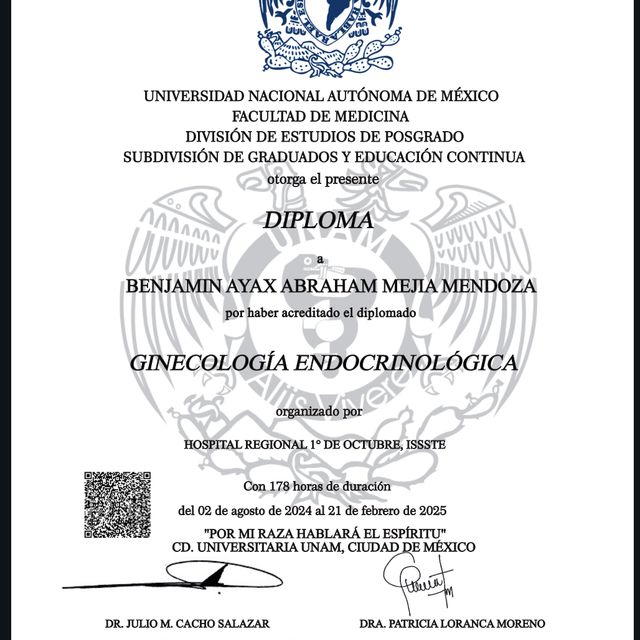 Ampliar imagen: certificate 5