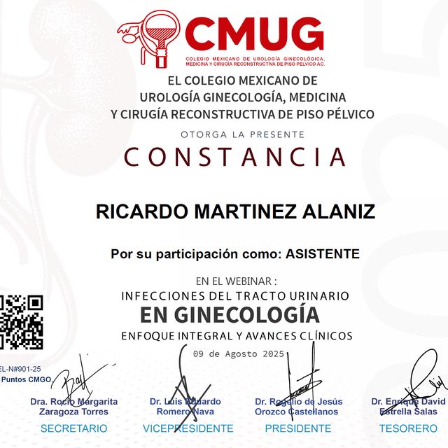 Ampliar imagen: certificate 2