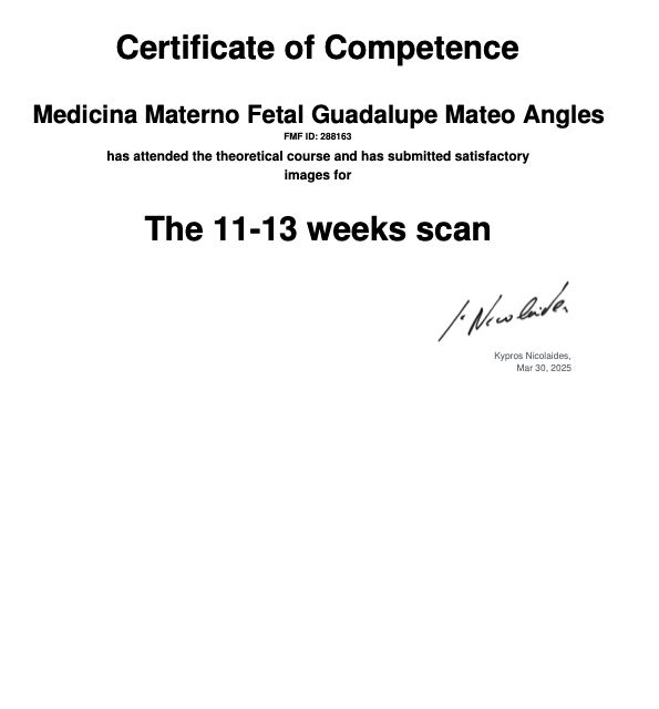 Ampliar imagen: certificate 3