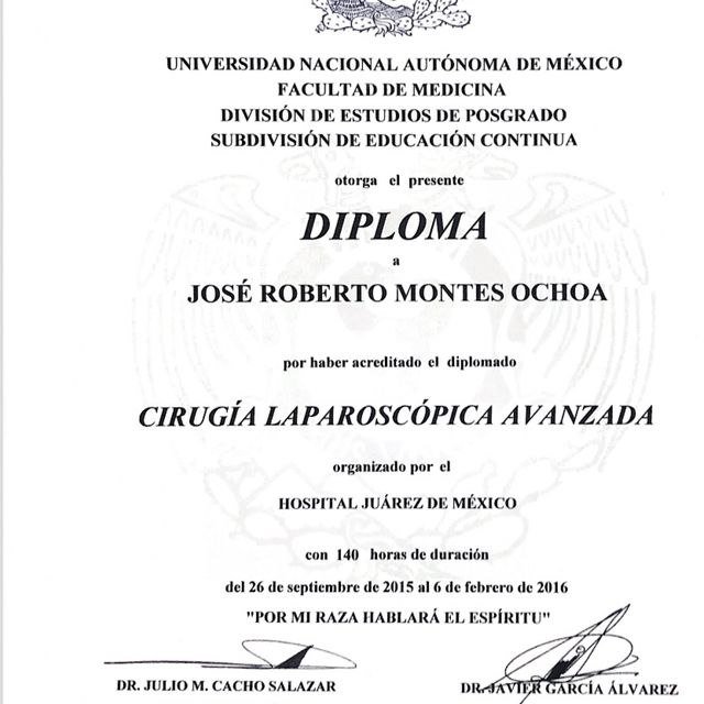 Ampliar imagen: certificate 13