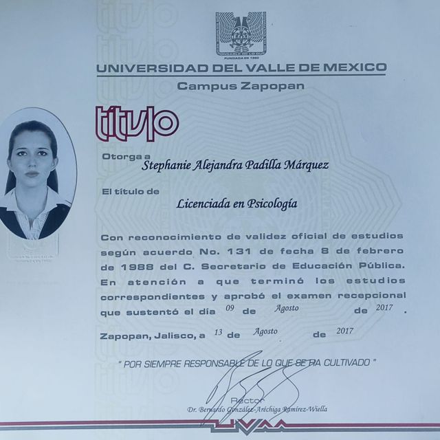 Ampliar imagen: certificate 1