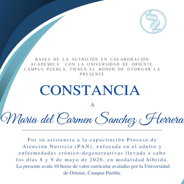 Ampliar imagen: certificate 8