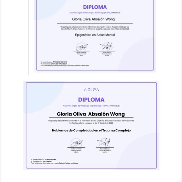 Ampliar imagen: certificate 6