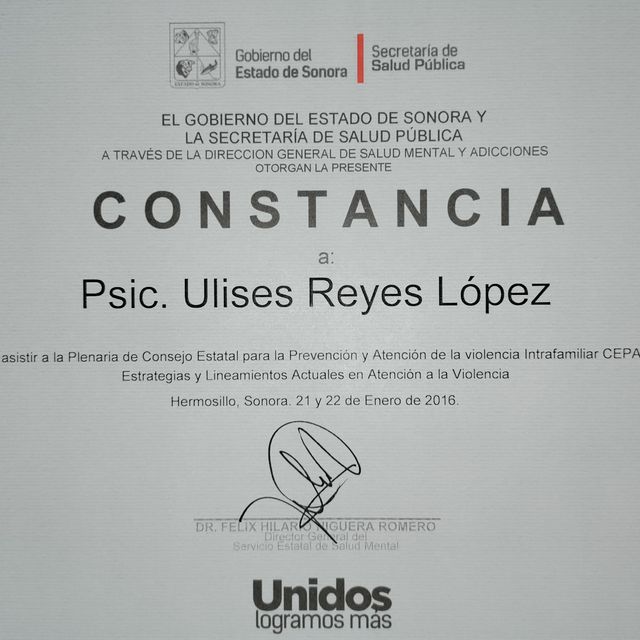 Ampliar imagen: certificate 1