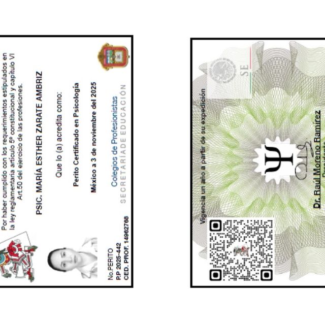 Ampliar imagen: certificate 11