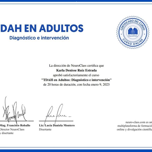 Ampliar imagen: certificate 9