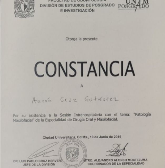 Ampliar imagen: certificate 13