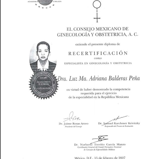 Ampliar imagen: certificate 2