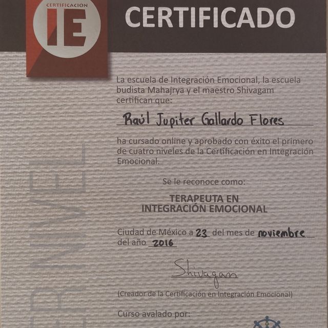 Ampliar imagen: certificate 1