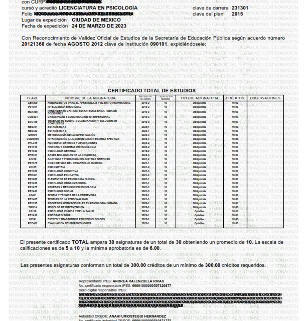 Ampliar imagen: certificate 1