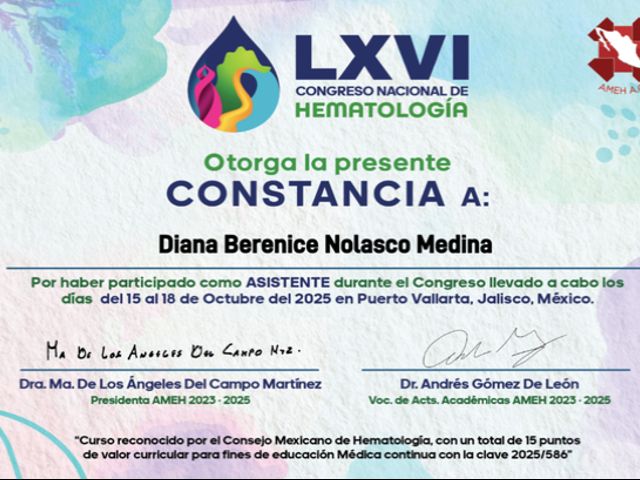 Ampliar imagen: certificate 1