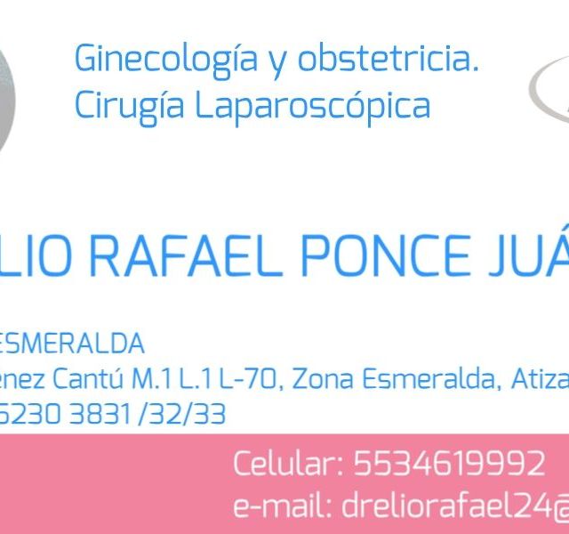 Ampliar imagen: certificate 7