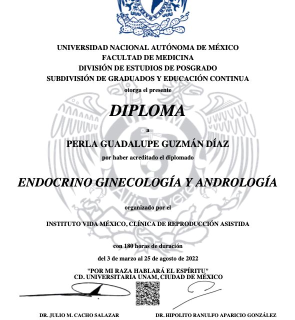 Ampliar imagen: certificate 4