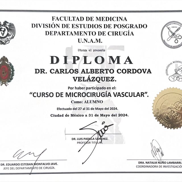 Ampliar imagen: certificate 9