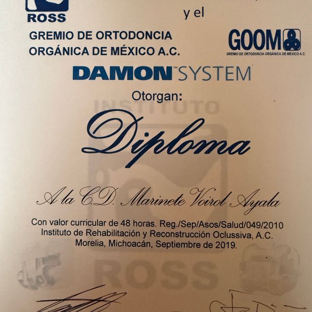 Ampliar imagen: certificate 6