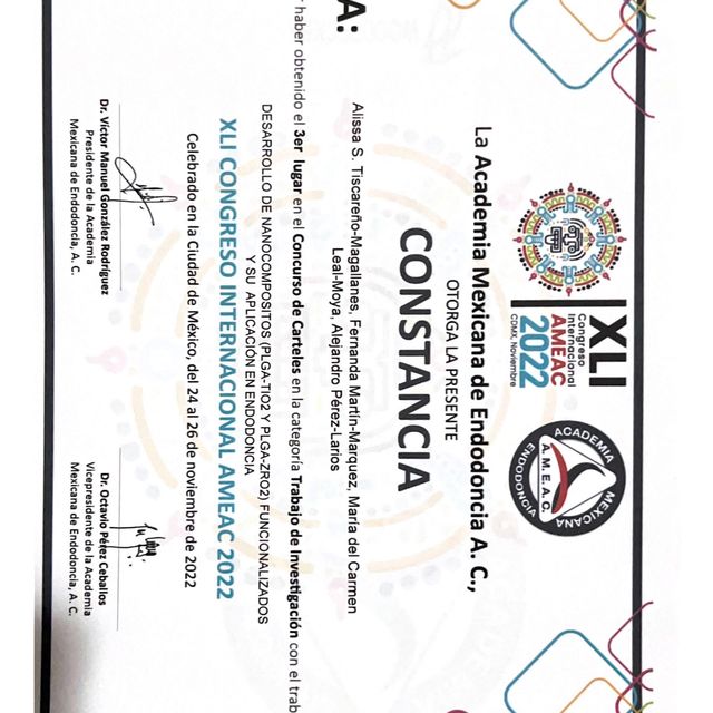Ampliar imagen: certificate 3
