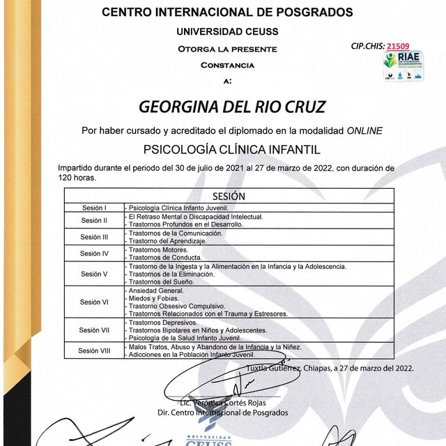 Ampliar imagen: certificate 4