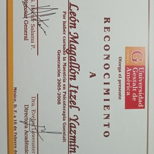 Ampliar imagen: certificate 2