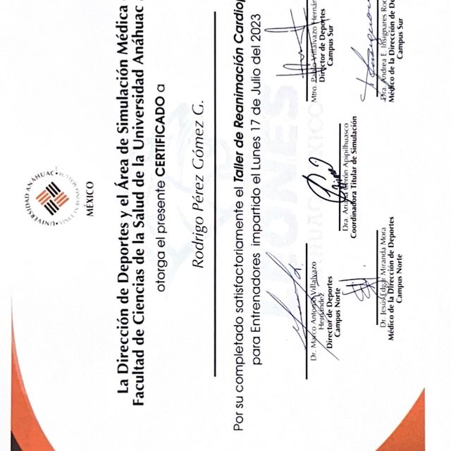 Ampliar imagen: certificate 3