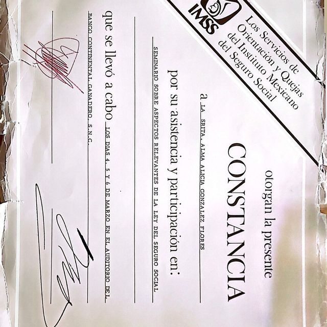 Ampliar imagen: certificate 25