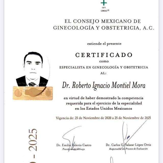 Ampliar imagen: certificate 1