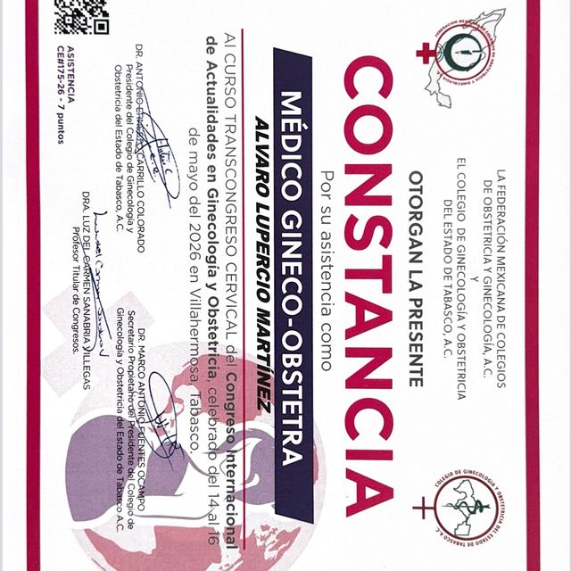 Ampliar imagen: certificate 25