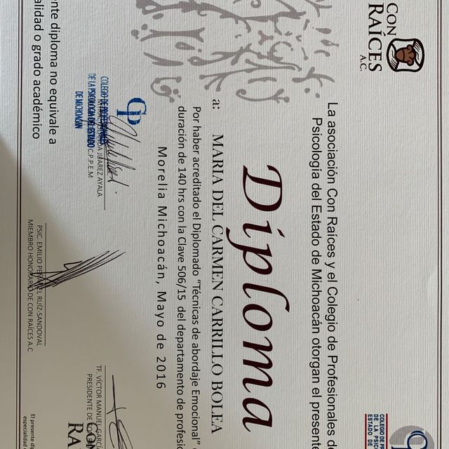 Ampliar imagen: certificate 3