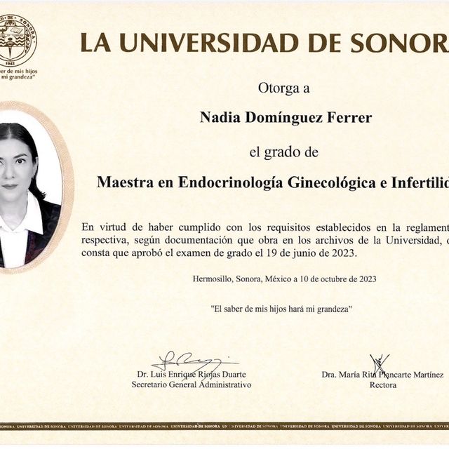 Ampliar imagen: certificate 5