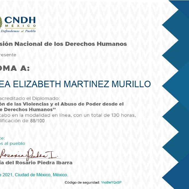 Ampliar imagen: certificate 28