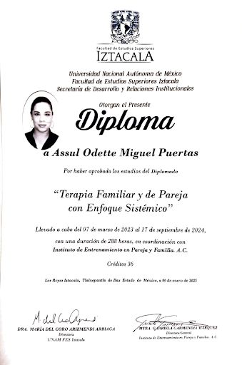 Ampliar imagen: certificate 5