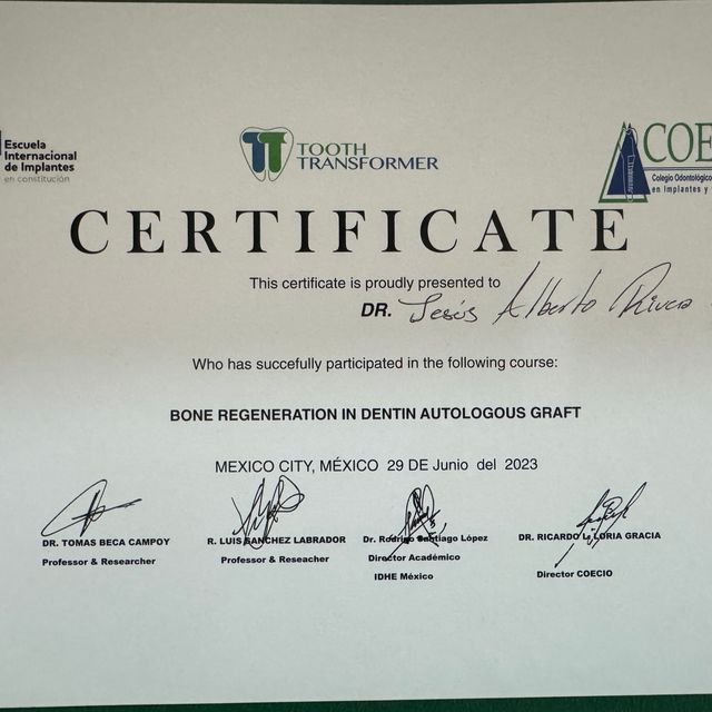 Ampliar imagen: certificate 13