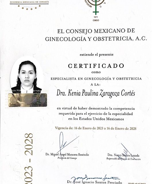 Ampliar imagen: certificate 3