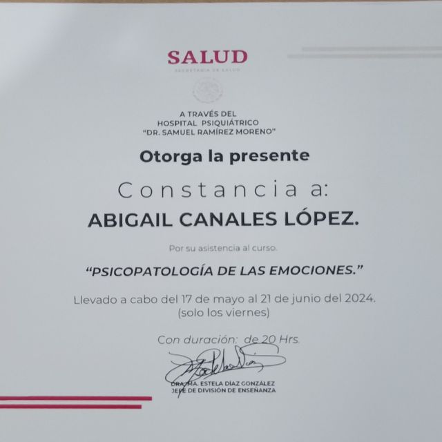 Ampliar imagen: certificate 11