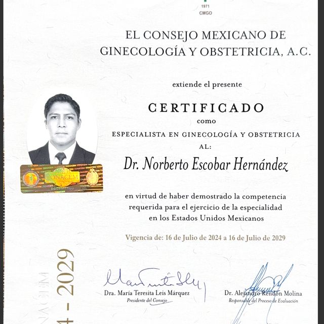 Ampliar imagen: certificate 4