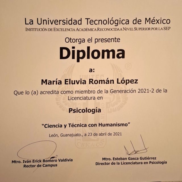 Ampliar imagen: certificate 1