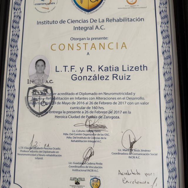 Ampliar imagen: certificate 6