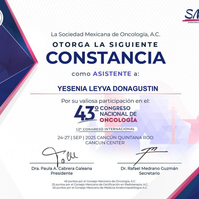Ampliar imagen: certificate 14