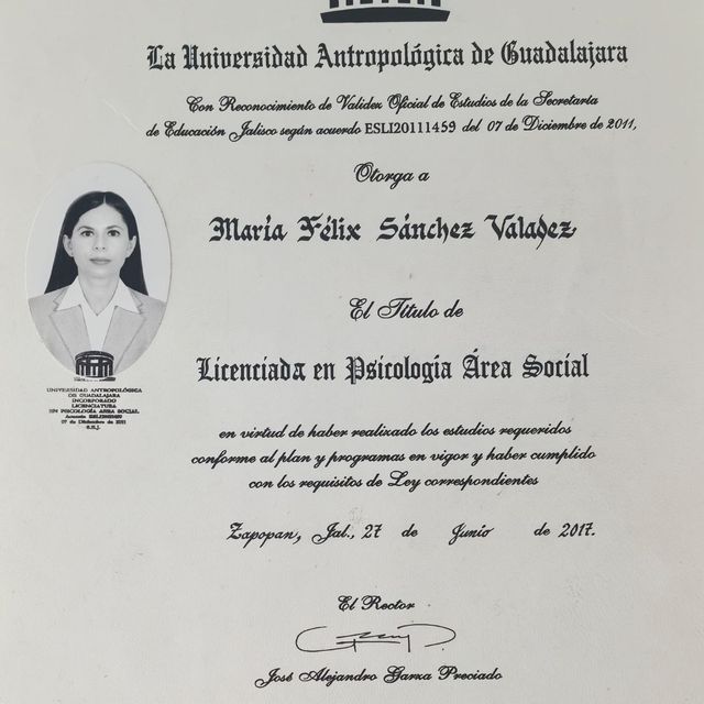 Ampliar imagen: certificate 2