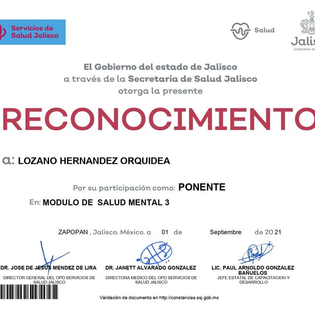 Ampliar imagen: certificate 13