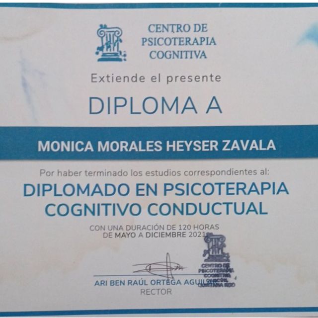 Ampliar imagen: certificate 3