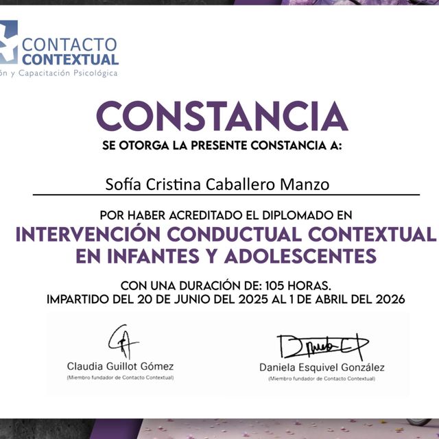 Ampliar imagen: certificate 6