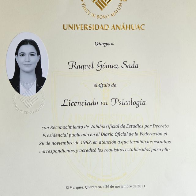 Ampliar imagen: certificate 3