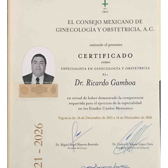 Ampliar imagen: certificate 3