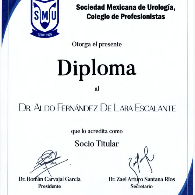 Ampliar imagen: certificate 2