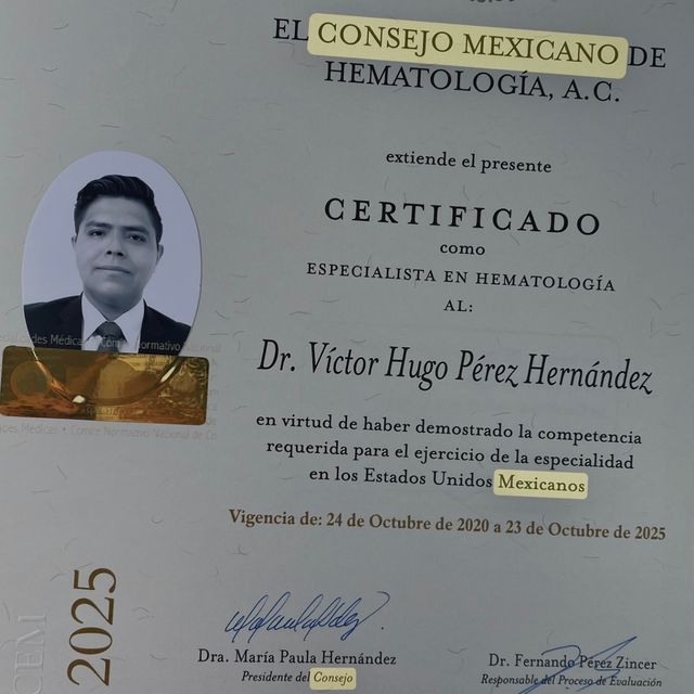 Ampliar imagen: certificate 11