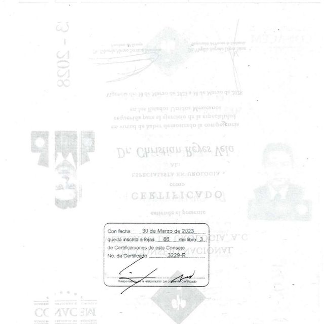 Ampliar imagen: certificate 2