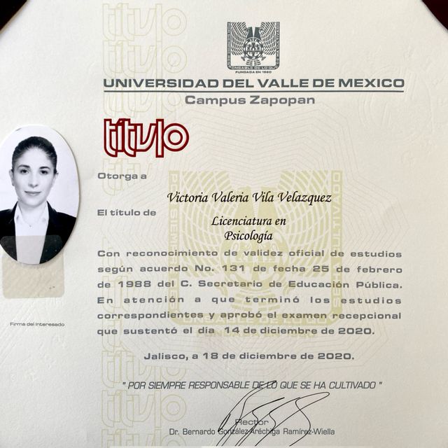 Ampliar imagen: certificate 2