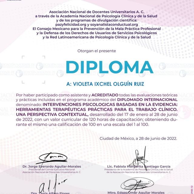 Ampliar imagen: certificate 4